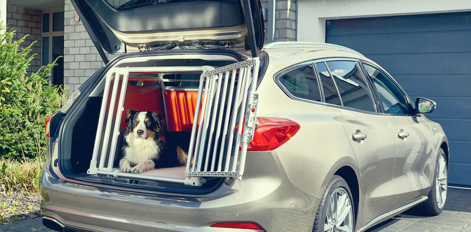 Ford Focus Wagon: l'auto pensata per gli animali